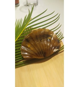 Monalisa Home 8 cm Lüks Renkli Parlak Kıstırma Toka
