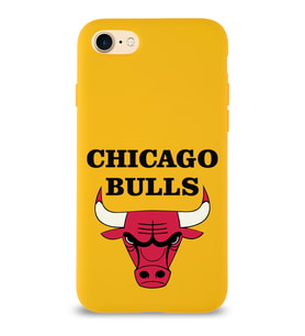 Apple iPhone SE 2022  Lansman Kılıf Chicago Bulls Tasarımlı Altı Kapalı İçi Kadife Kaplı  Kapak (Şeffaf)