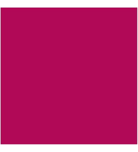 SMK LacquerInk Lipshine 303 Ruj
