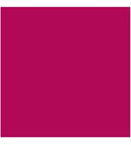 SMK LacquerInk Lipshine 303 Ruj