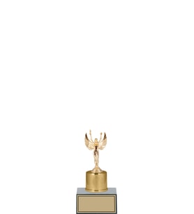ODAK KUPA - Hediyelik Ürünler - HDY-046 A - 17 cm
