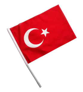 100 Adet Sopalı Türk Bayrağı 20 x 30 Cm Raşel Kumaş Bayrak