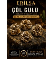 Sertifikalı Çöl Gülü Taşı Kütle - 20-40 mm Küçük Boy Doğal Jips Kristal Toplu (Çok Renkli)