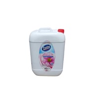SIVI EL SABUNU HİNDİSTAN CEVİZİ 10 KG