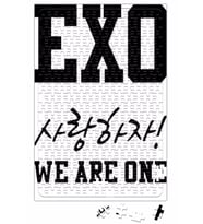 Exo We Are One Puzzle 240 Parça Yapboz