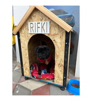 Köpek kulübesi küçük ırklar icin