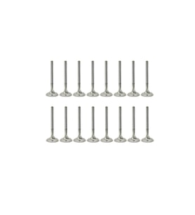 TETIK OPL-131-SUPAP TAKIM-641 325-VECTRA B X20XEV (Standart)