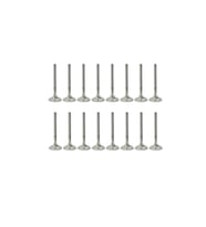 TETIK OPL-131-SUPAP TAKIM-641 325-VECTRA B X20XEV (Standart)