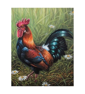 Erken Öten Horoz Çerçeveli 70x90 Sayılarla Boyama Hobi Seti