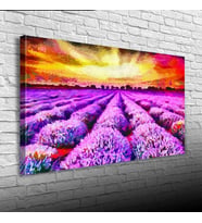 Lavanta Tarlası ve Günbatımı Kanvas Tablo 50 x 70