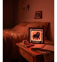 Kişiye Özel İsimli Aslan Figürlü LED Gece Lambası – Dekoratif Ahşap Çerçeve 14x14 cm