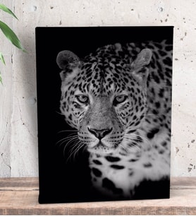 BK Gift Leopar Tasarımlı Dekoratif Mini Kanvas Tablo 15x20cm-1