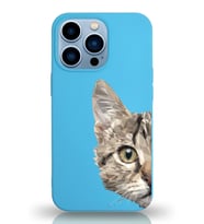 Apple iPhone 13 Pro Max Uyumlu Lansman Kılıf Catface Tasarımlı İçi Kadife Kapak-Mavi (Şeffaf)