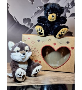 CAM GÖZ PATİLİ HAYVANLAR 16cM HEDİYE SET