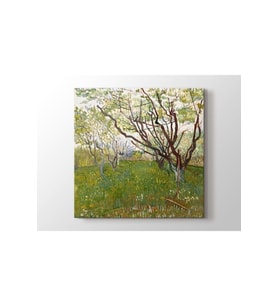 Vincent Van Gogh - The Flowering Orchard Tablo - 106033 - 60x80 Cm