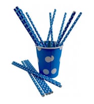 Pipet puantiyeli karton mav pk:25-