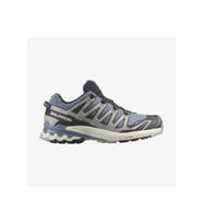Salomon Xa Pro 3D V9 Gore-Tex® Erkek Koşu Ayakkabı Siyah