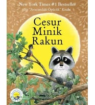 Cesur Minik Rakun