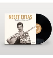 Neşet Ertaş - Bozkırın Tezenesi 1 - Plak