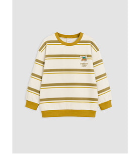 LCW Kids Haki Çizgili Erkek Çocuk Kalın Sweatshirt