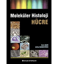 Moleküler Histoloji Hücre