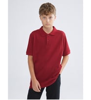 LCW Kids Bordo Polo Yaka Erkek Çocuk Tişört
