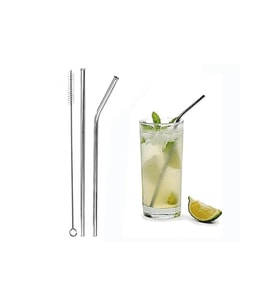 Mithra Life 2 Li Metal Paslanmaz Çelik Pipet ve Temizleme Fırçası MIT1116 (Gri)