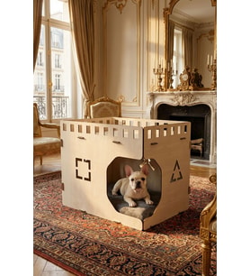 Ahşap Köpek Kulübesi Dekoratif Köpek Evi Açık Meşe Renk Küp Model