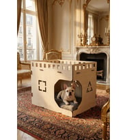 Ahşap Köpek Kulübesi Dekoratif Köpek Evi Açık Meşe Renk Küp Model