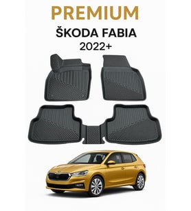 Skoda Fabia 2022+ Uyumlu 3D Oto Paspas Premium