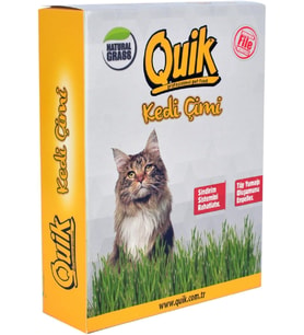 Gerçek Topraklı Kedi Çimi