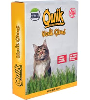 Gerçek Topraklı Kedi Çimi