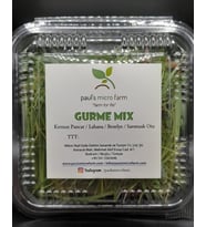 Gurme Mix Salata