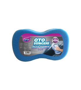 Oto Süngeri