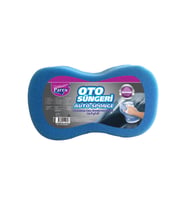 Oto Süngeri