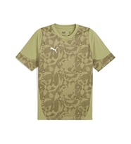 Puma Teamcup Training Jersey Erkek Futbol Antrenman Tişörtü 65916740 Yeşil