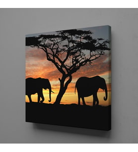 FİLLER KANVAS TABLO 140x140cm