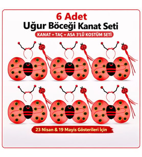 6&amp;apos;lı Uğur Böceği Ateş Böceği Kostüm Seti – Kanat Taç Asa (5343)