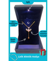 Doğum Gününe Özel Melek Kanatlı Çelik Kolye Işıklı Premium Kutuda Gold Renk