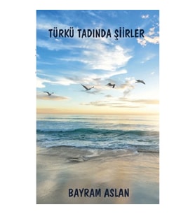 Türkü Tadında Şiirler