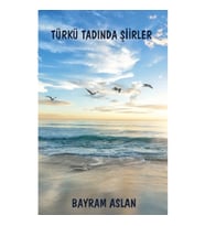 Türkü Tadında Şiirler