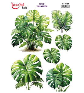İstanbul Hobi Sulu Transfer ST923 (25x35)