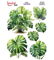 İstanbul Hobi Sulu Transfer ST923 (25x35)