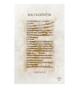 Solukdönüm