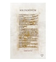 Solukdönüm