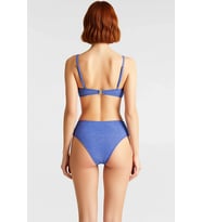 Kadın Bikini Takımı Ayarlanabilir Askılı Kaplı Yüksek Bel Simli Örme Balensiz Aksesuarlı Regular