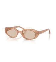 Ray-Ban RB4441D 678793 53 Kadın Güneş Gözlüğü