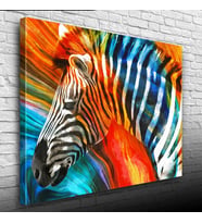 Turuncu ve Mavi Tonlar Zebra Resmi Kanvas Tablo 50 x 70