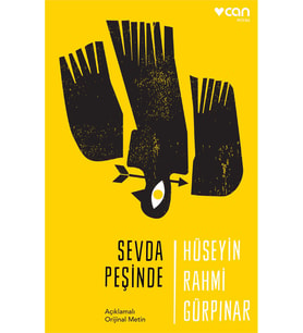 Sevda Peşinde