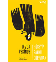 Sevda Peşinde